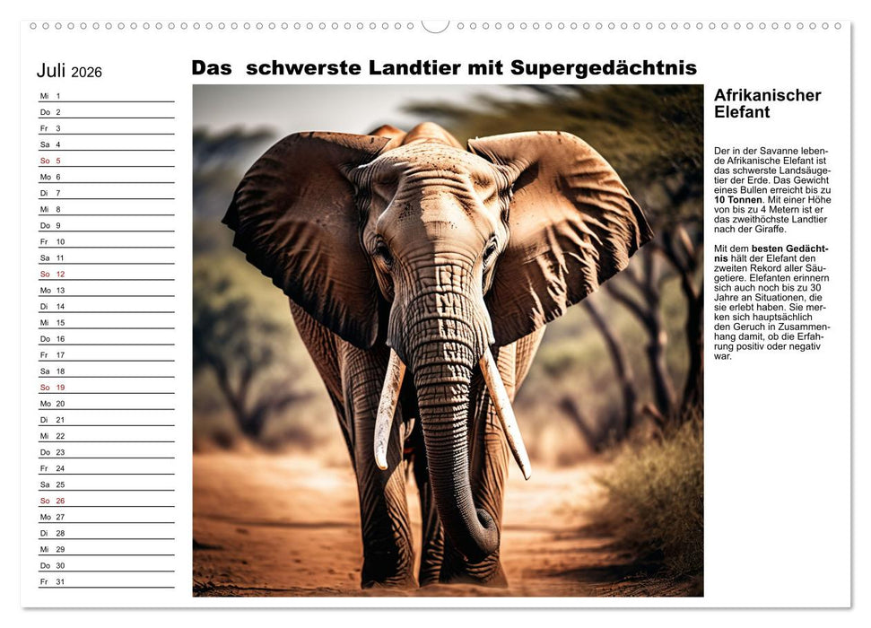 Tierische Rekorde (CALVENDO Premium Wandkalender 2026)