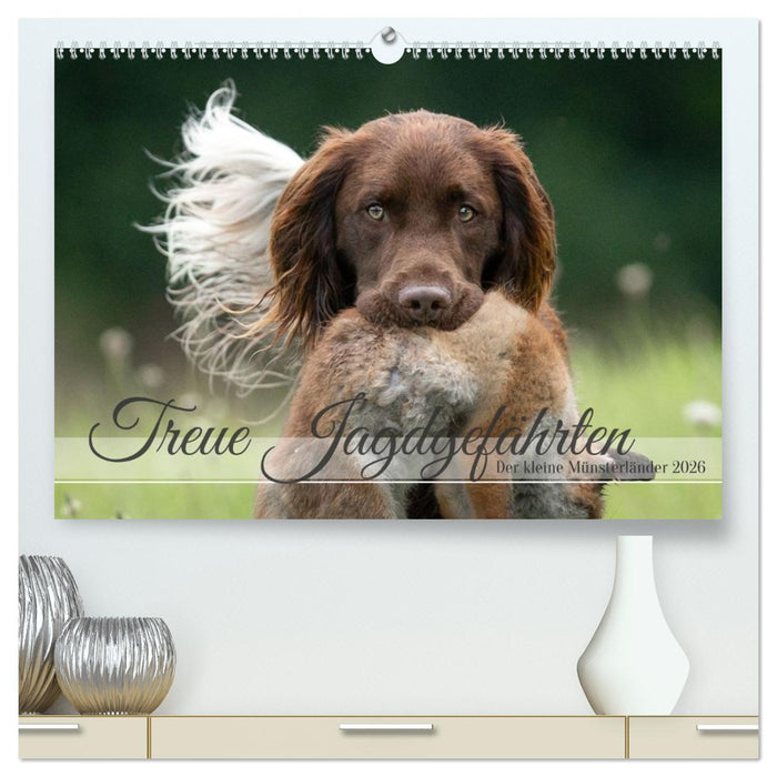 Treue Jagdgefährten Der kleine Münsterländer (CALVENDO Premium Wandkalender 2026)