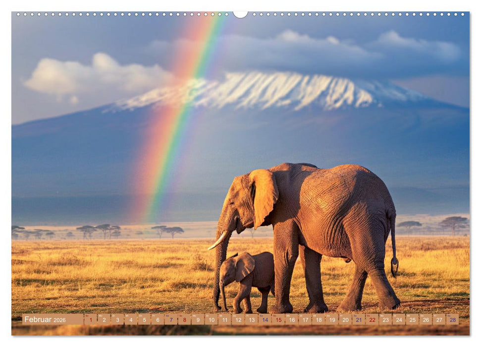 Himmlische Farbspiele - Regenbogen (CALVENDO Wandkalender 2026)