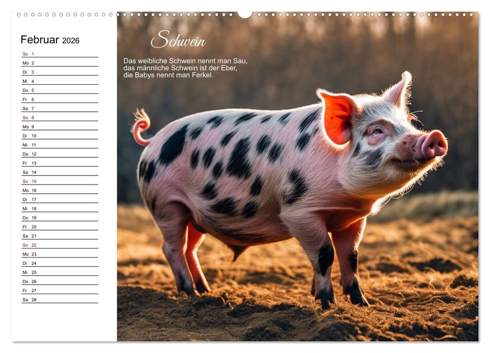 Für pfiffige Kids- Haus- und Hoftiere (CALVENDO Wandkalender 2026)