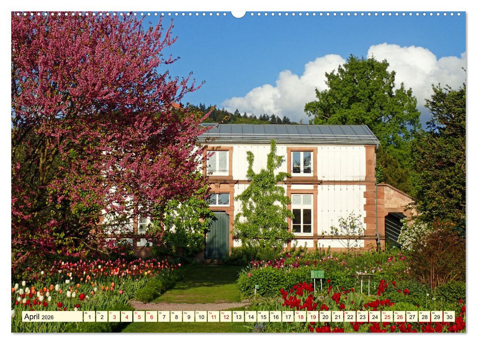 Weinheim im Laufe der Jahreszeiten (CALVENDO Wandkalender 2026)