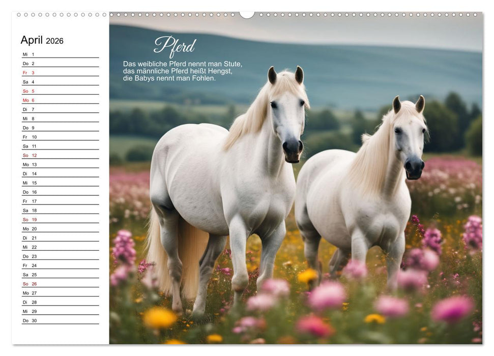 Für pfiffige Kids- Haus- und Hoftiere (CALVENDO Premium Wandkalender 2026)