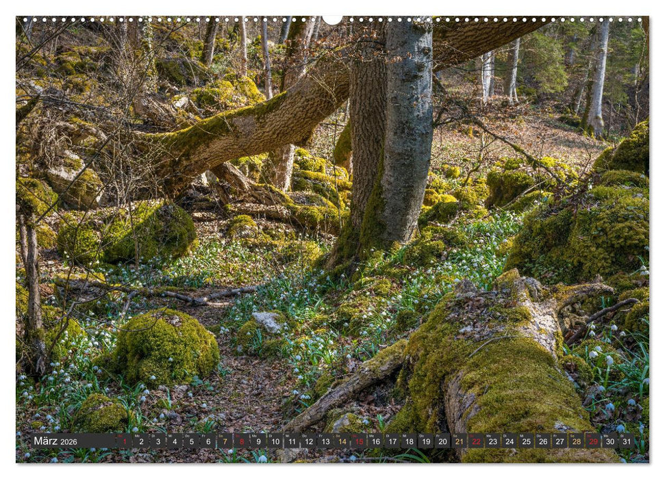 Moment mal! an der Oberen Donau (CALVENDO Premium Wandkalender 2026)