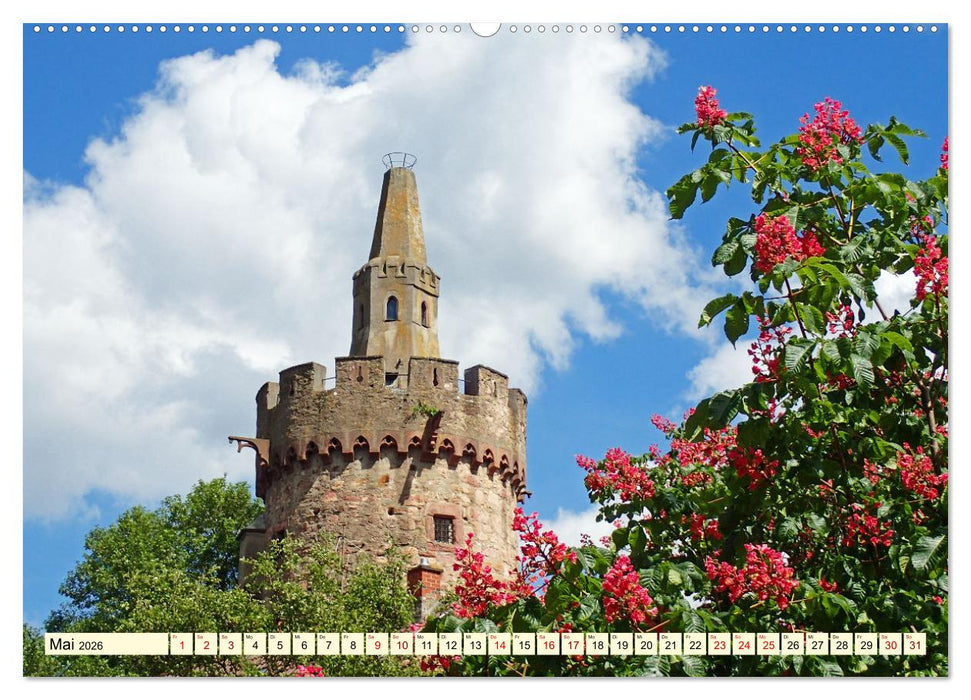 Weinheim im Laufe der Jahreszeiten (CALVENDO Premium Wandkalender 2026)