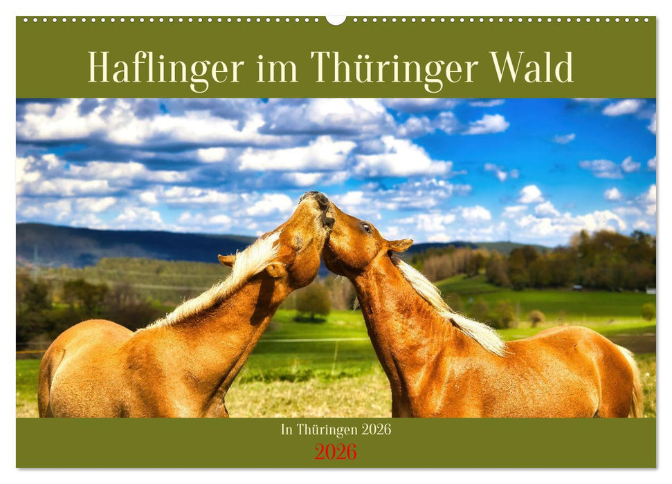 Haflinger im Thüringer Wald (CALVENDO Wandkalender 2026)
