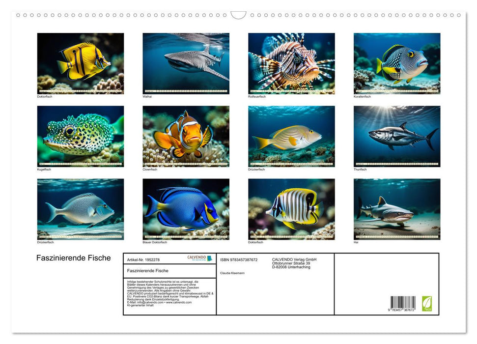 Faszinierende Fische (CALVENDO Wandkalender 2026)