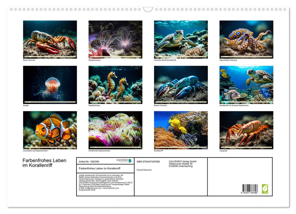 Farbenfrohes Leben im Korallenriff (CALVENDO Wandkalender 2026)