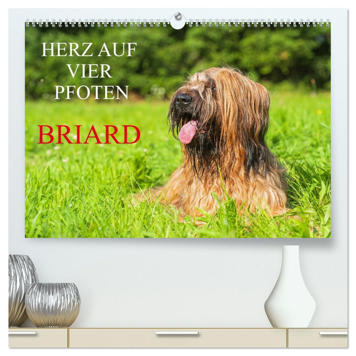 Herz auf vier Pfoten - Briard (CALVENDO Premium Wandkalender 2026)