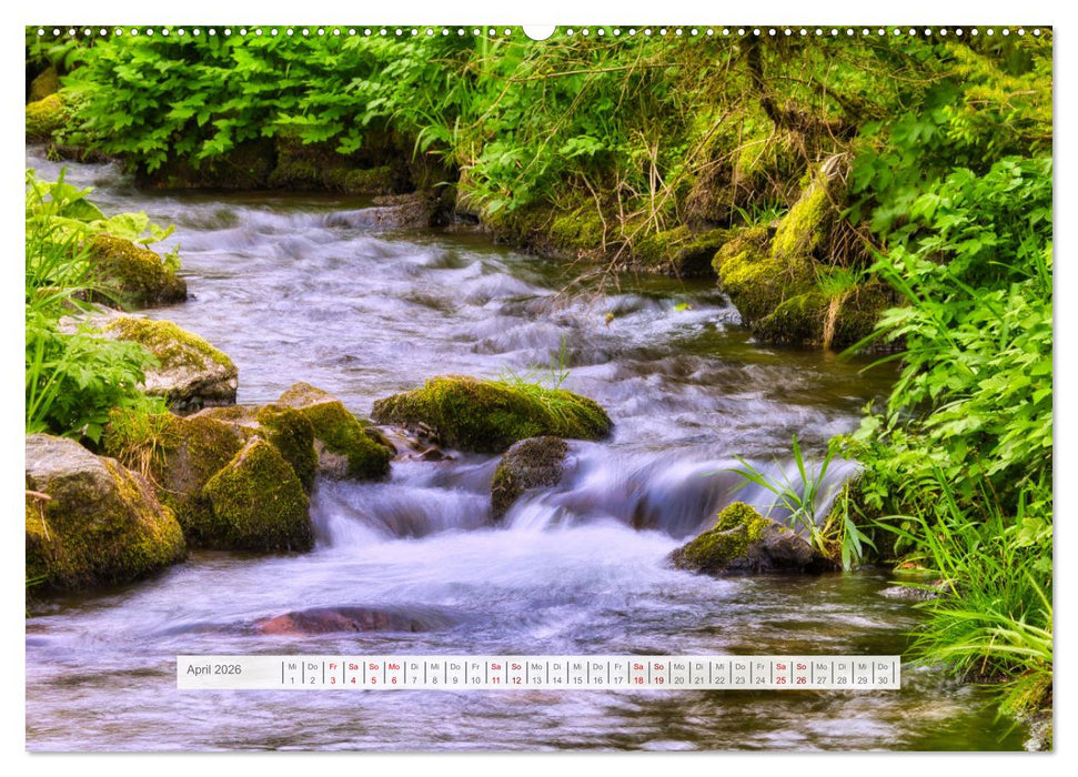 Die Vielfalt des Thüringer Waldes (CALVENDO Wandkalender 2026)