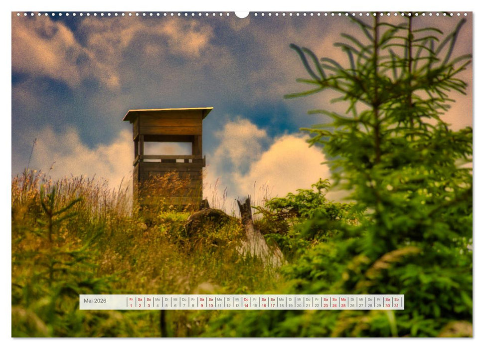 Die Vielfalt des Thüringer Waldes (CALVENDO Wandkalender 2026)