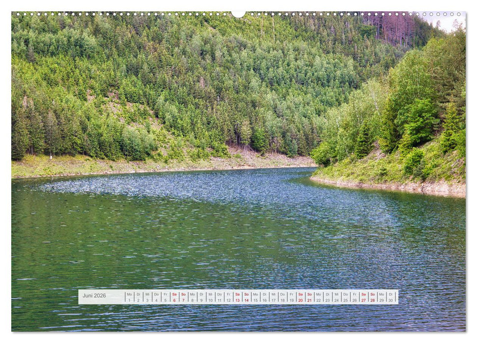 Die Vielfalt des Thüringer Waldes (CALVENDO Wandkalender 2026)