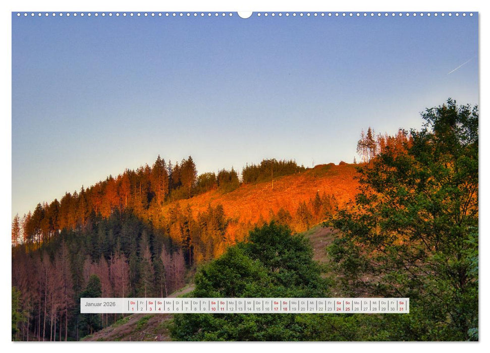 Die Schönheit des Thüringer Waldes (CALVENDO Wandkalender 2026)