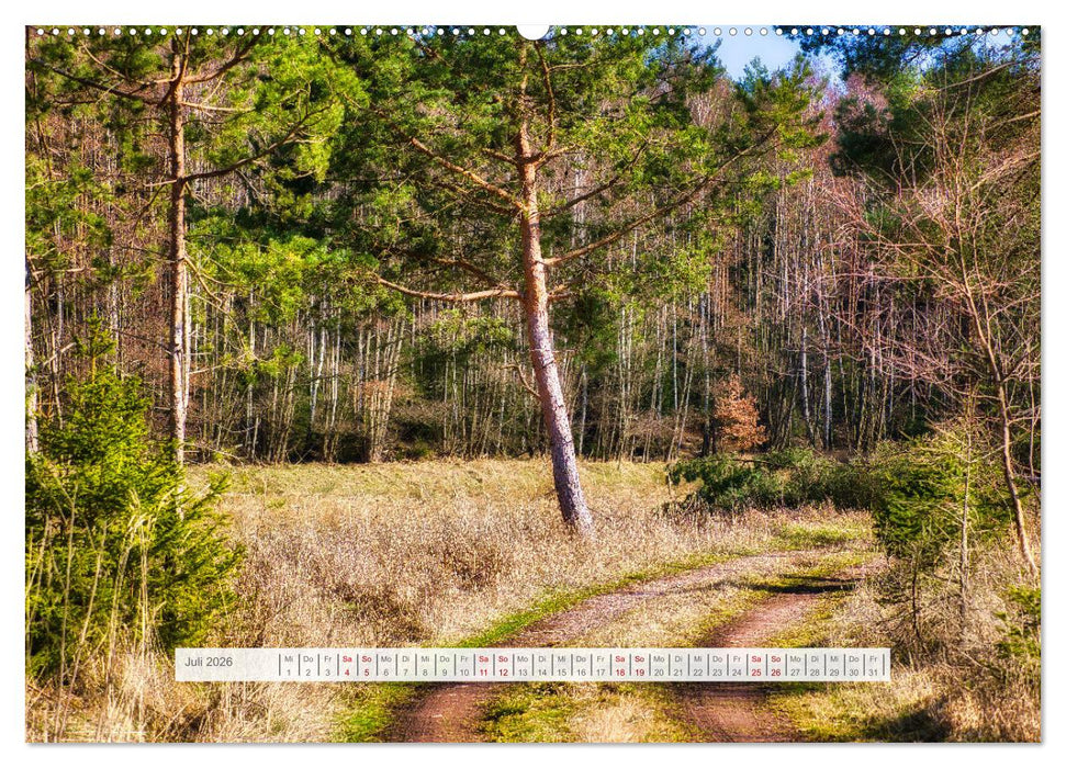 Die Vielfalt des Thüringer Waldes (CALVENDO Premium Wandkalender 2026)