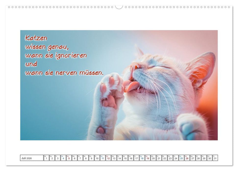 Katzenpower (CALVENDO Premium Wandkalender 2026)
