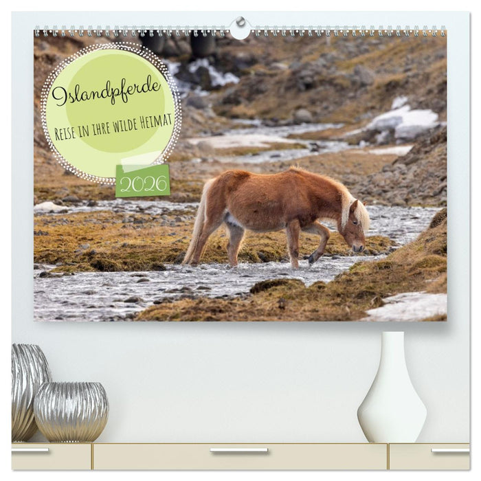Islandpferde - Reise in ihre wilde Heimat (CALVENDO Premium Wandkalender 2026)