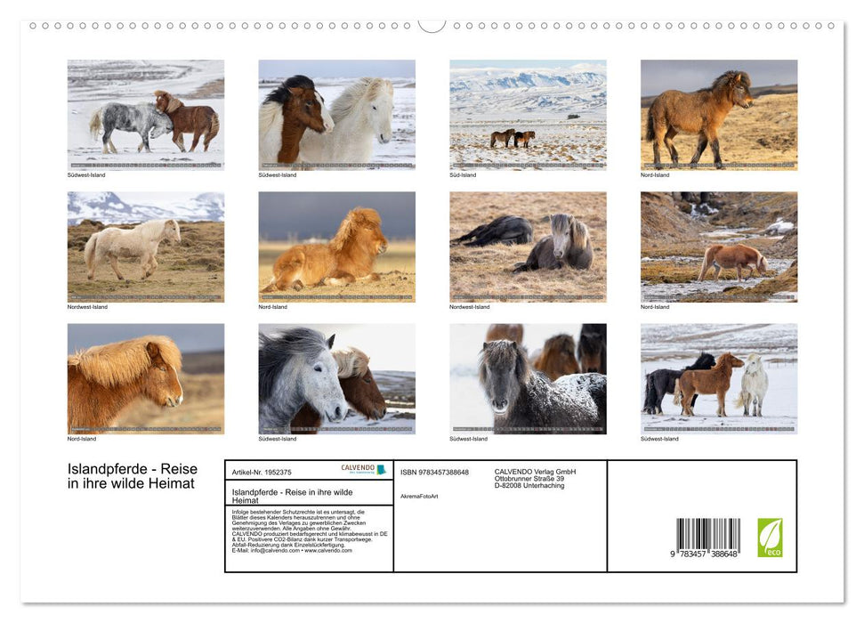 Islandpferde - Reise in ihre wilde Heimat (CALVENDO Premium Wandkalender 2026)