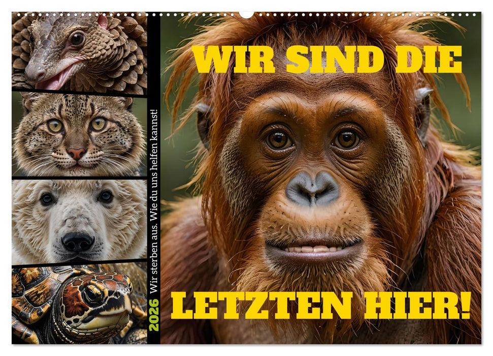 Wir sind die Letzten hier! Wir sterben aus. Wie du uns helfen kannst! (CALVENDO Wandkalender 2026)
