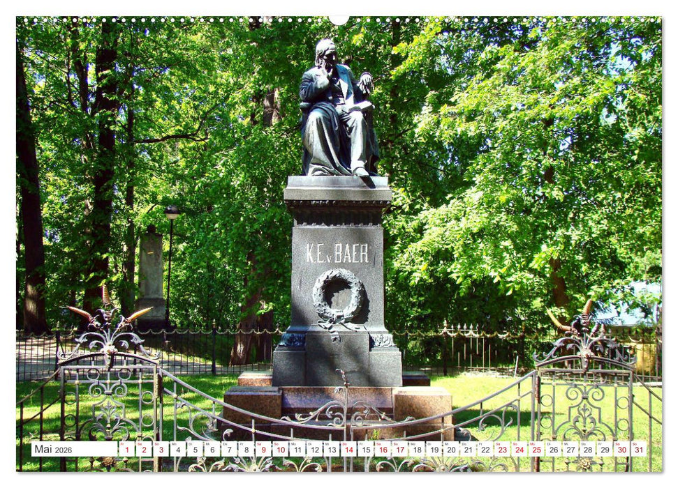 Treffpunkt Tartu - Estlands Universitätsstadt (CALVENDO Wandkalender 2026)