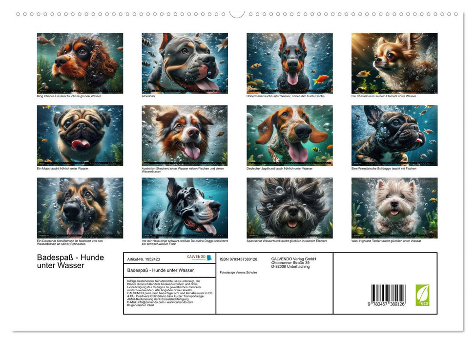 Badespaß - Hunde unter Wasser (CALVENDO Premium Wandkalender 2026)