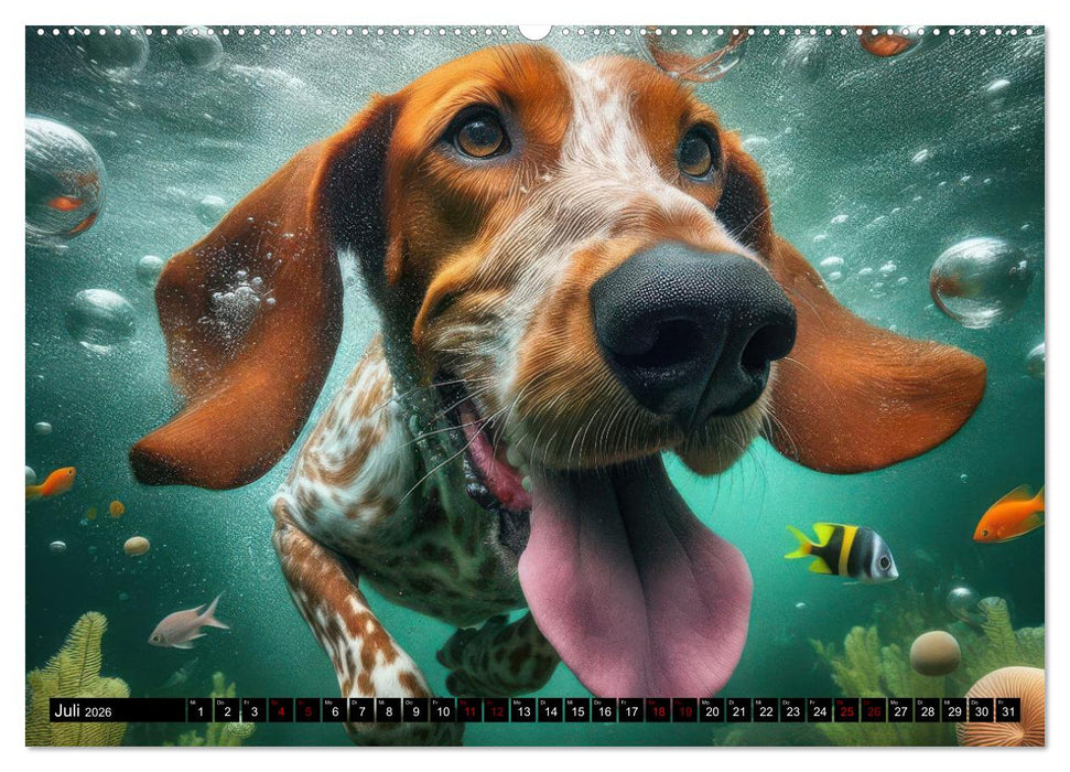 Badespaß - Hunde unter Wasser (CALVENDO Premium Wandkalender 2026)