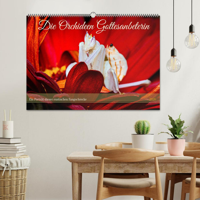Die Orchideen Gottesanbeterin (CALVENDO Wandkalender 2026)