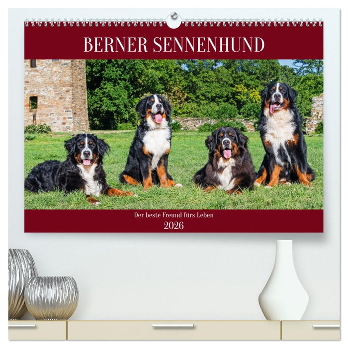 Berner Sennenhund - Der beste Freund fürs Leben (CALVENDO Premium Wandkalender 2026)