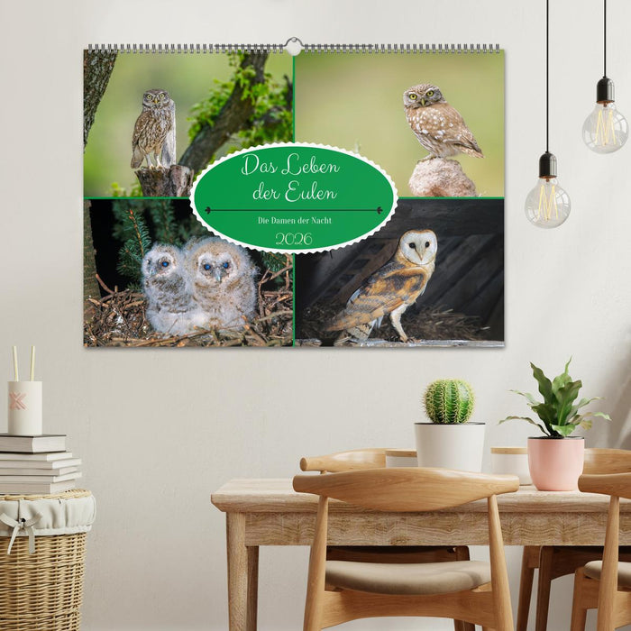 Das Leben der Eulen, die Damen der Nacht (CALVENDO Wandkalender 2026)