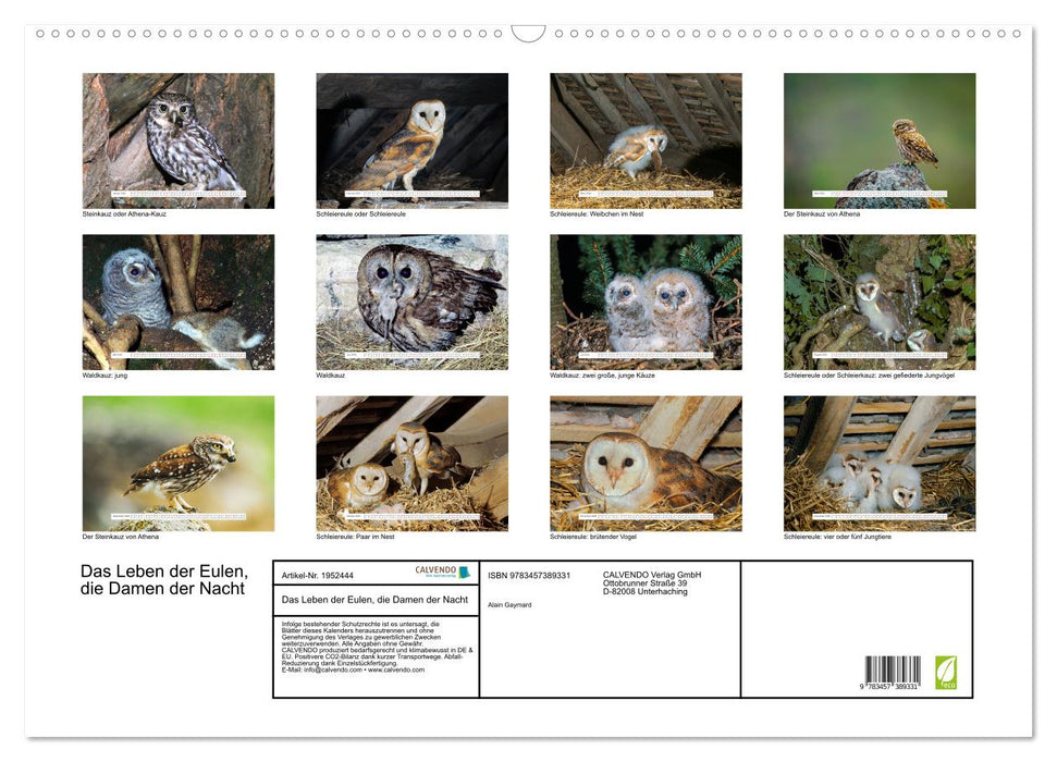 Das Leben der Eulen, die Damen der Nacht (CALVENDO Wandkalender 2026)