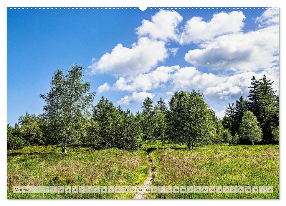Entlang der Schwarzwald-Hochstraße (CALVENDO Premium Wandkalender 2026)