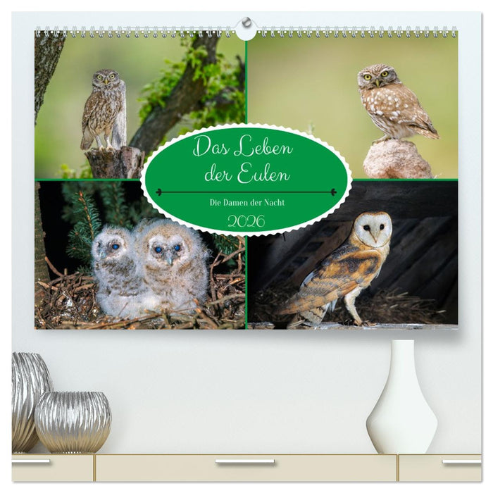 Das Leben der Eulen, die Damen der Nacht (CALVENDO Premium Wandkalender 2026)