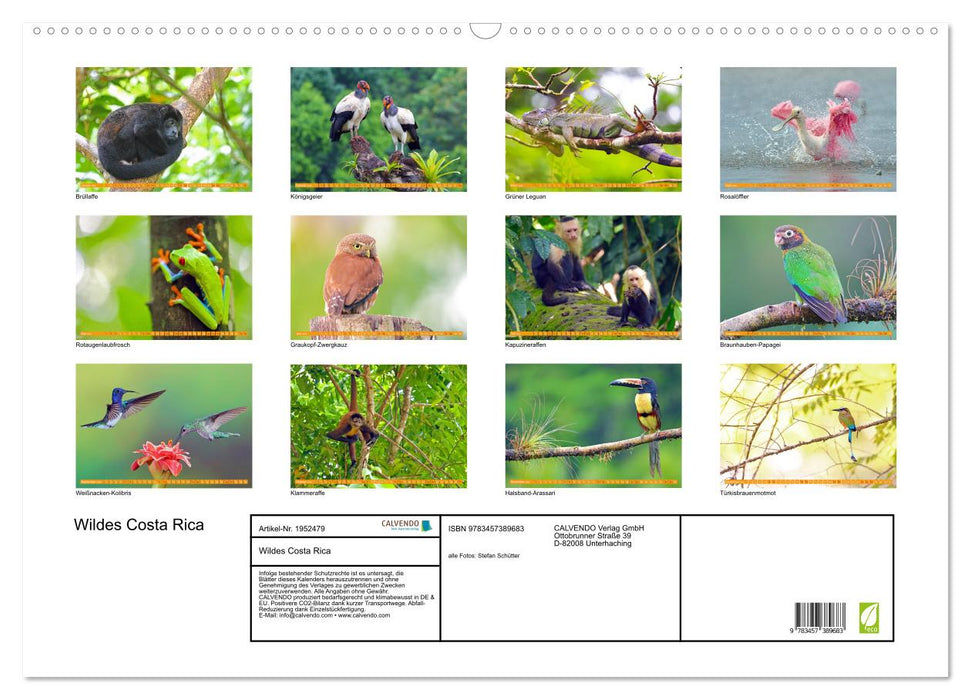 Wildes Costa Rica (CALVENDO Wandkalender 2026)
