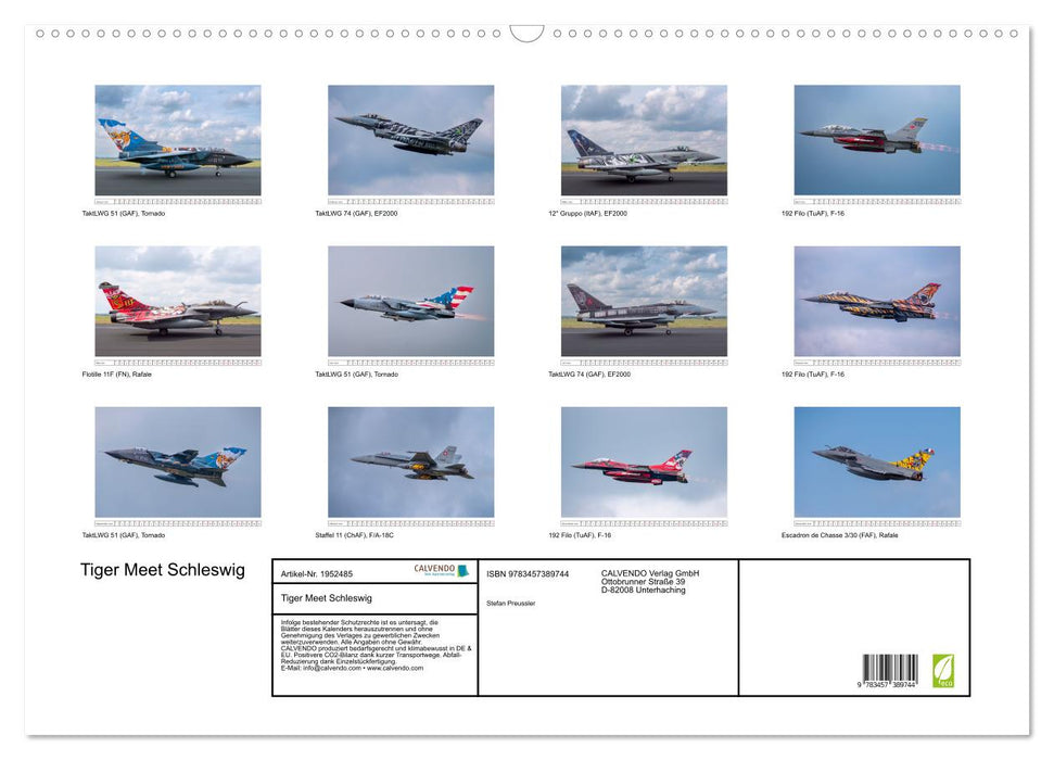 Tiger Meet Schleswig (CALVENDO Wandkalender 2026)