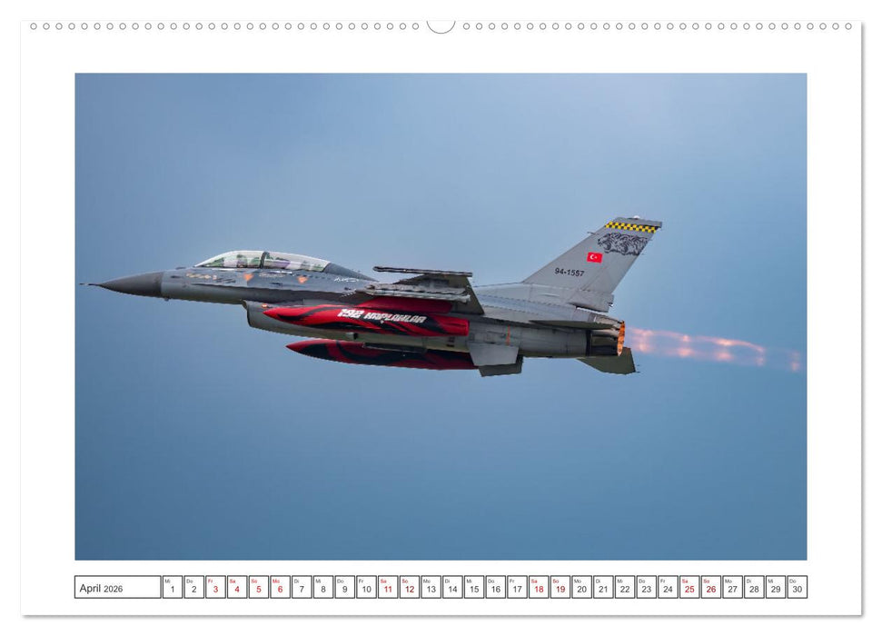 Tiger Meet Schleswig (CALVENDO Wandkalender 2026)