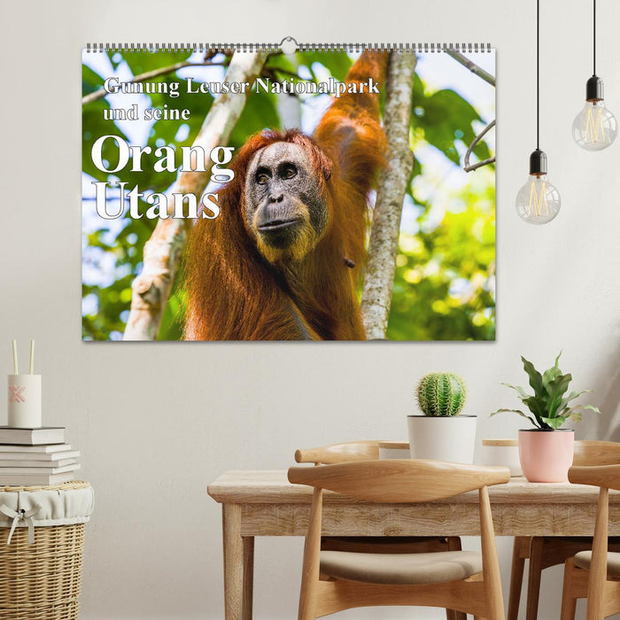 Gunung Leuser Nationalpark und seine Orang Utans (CALVENDO Wandkalender 2026)