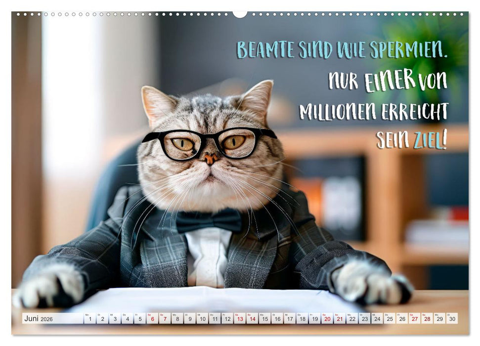 BEHÖRDE Der alltägliche Wahnsinn (CALVENDO Premium Wandkalender 2026)