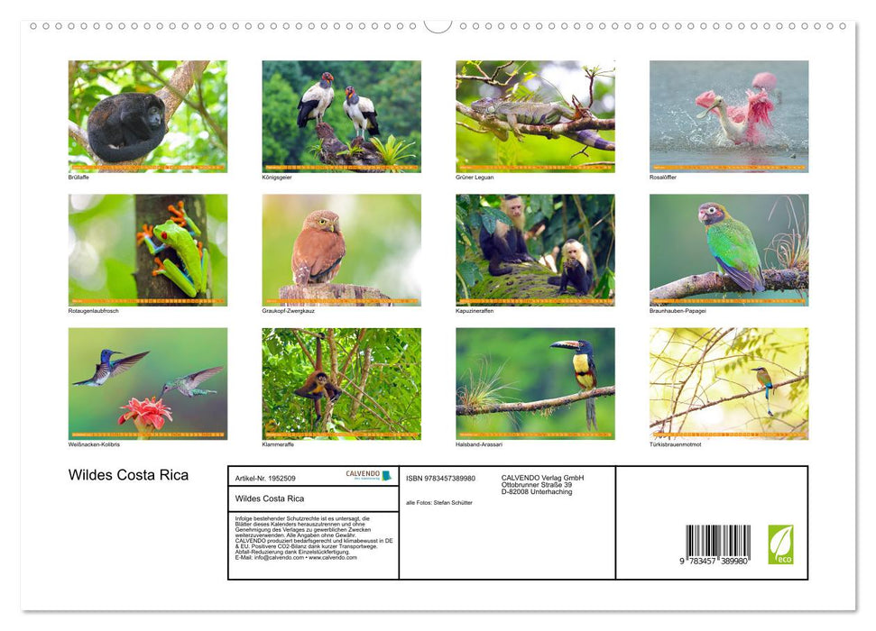 Wildes Costa Rica (CALVENDO Premium Wandkalender 2026)