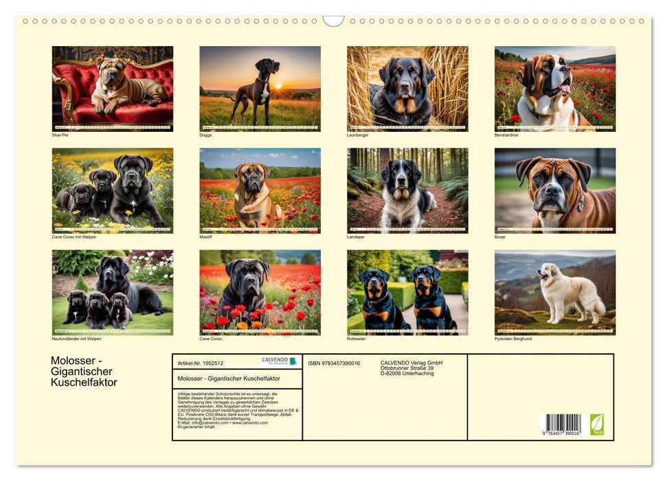 Molosser - Gigantischer Kuschelfaktor (CALVENDO Wandkalender 2026)