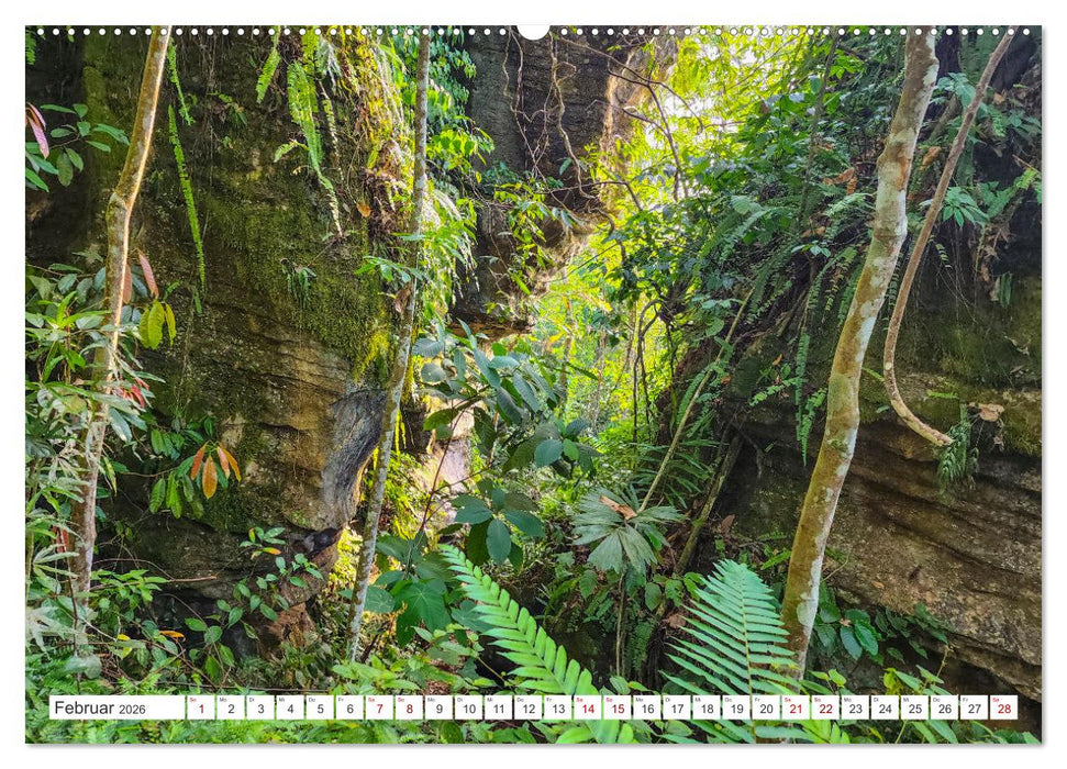Gunung Leuser Nationalpark Sumatra (CALVENDO Premium Wandkalender 2026)