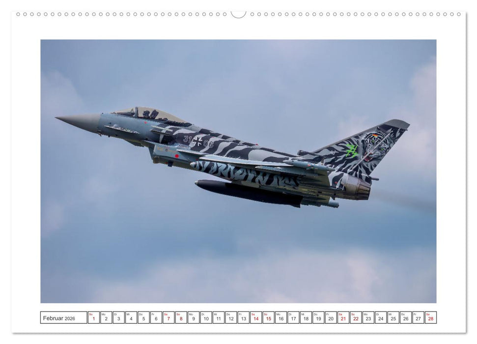 Tiger Meet Schleswig (CALVENDO Premium Wandkalender 2026)