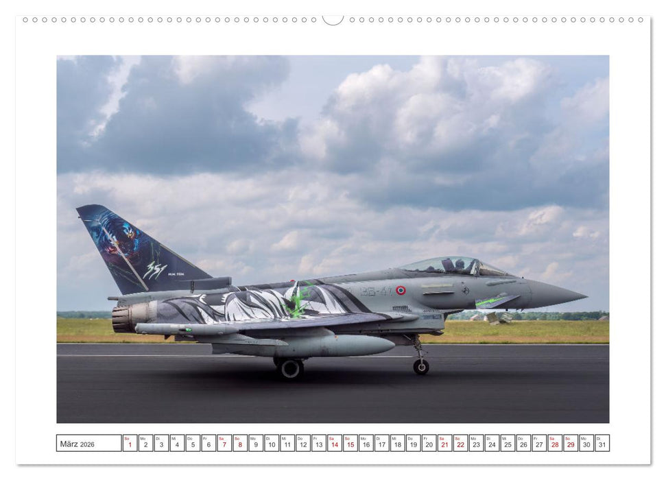 Tiger Meet Schleswig (CALVENDO Premium Wandkalender 2026)