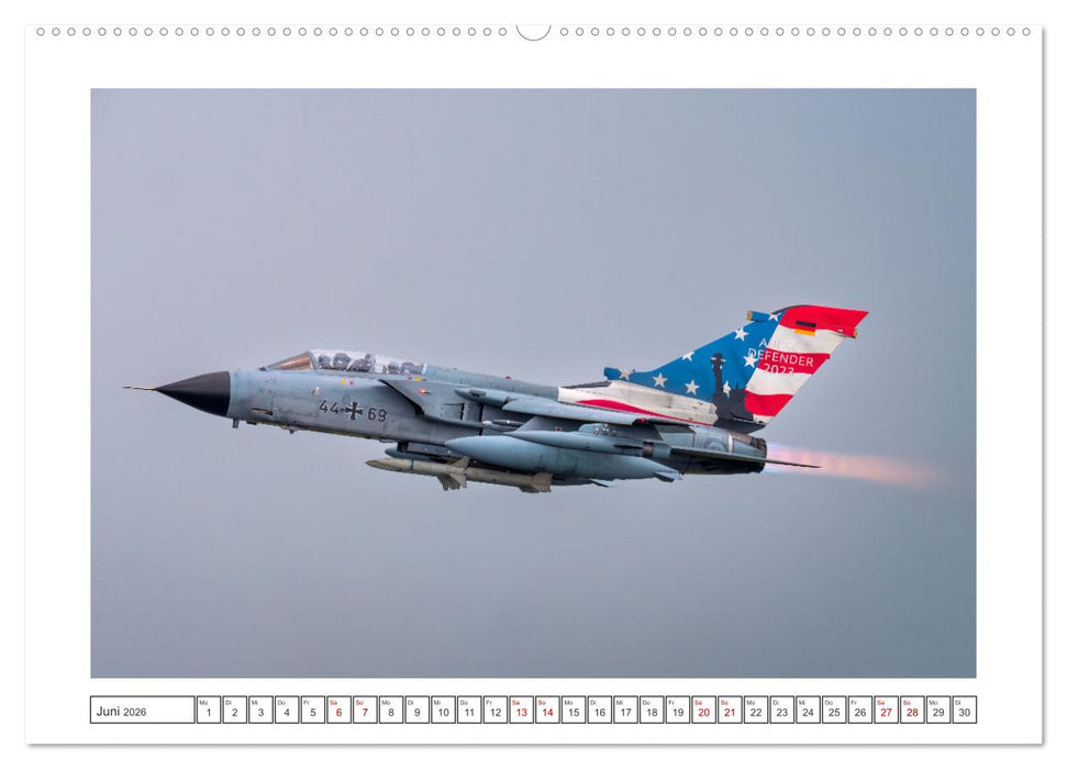 Tiger Meet Schleswig (CALVENDO Premium Wandkalender 2026)