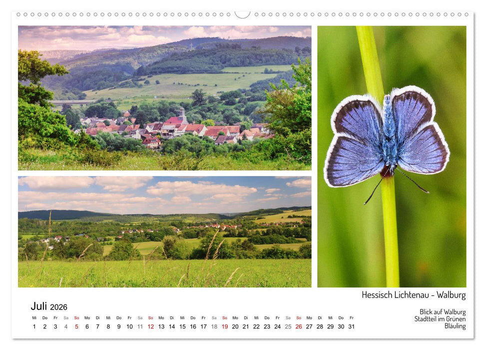 Märchenhaftes Hessisch Lichtenau (CALVENDO Premium Wandkalender 2026)