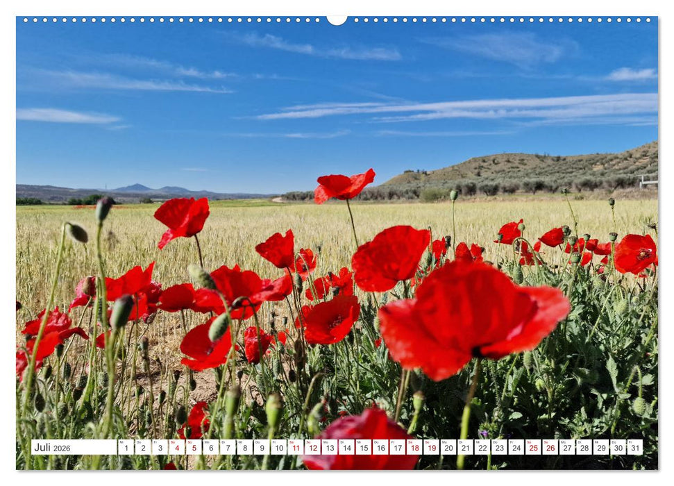 Camino Levante - magische Momente auf stillen Wegen (CALVENDO Premium Wandkalender 2026)