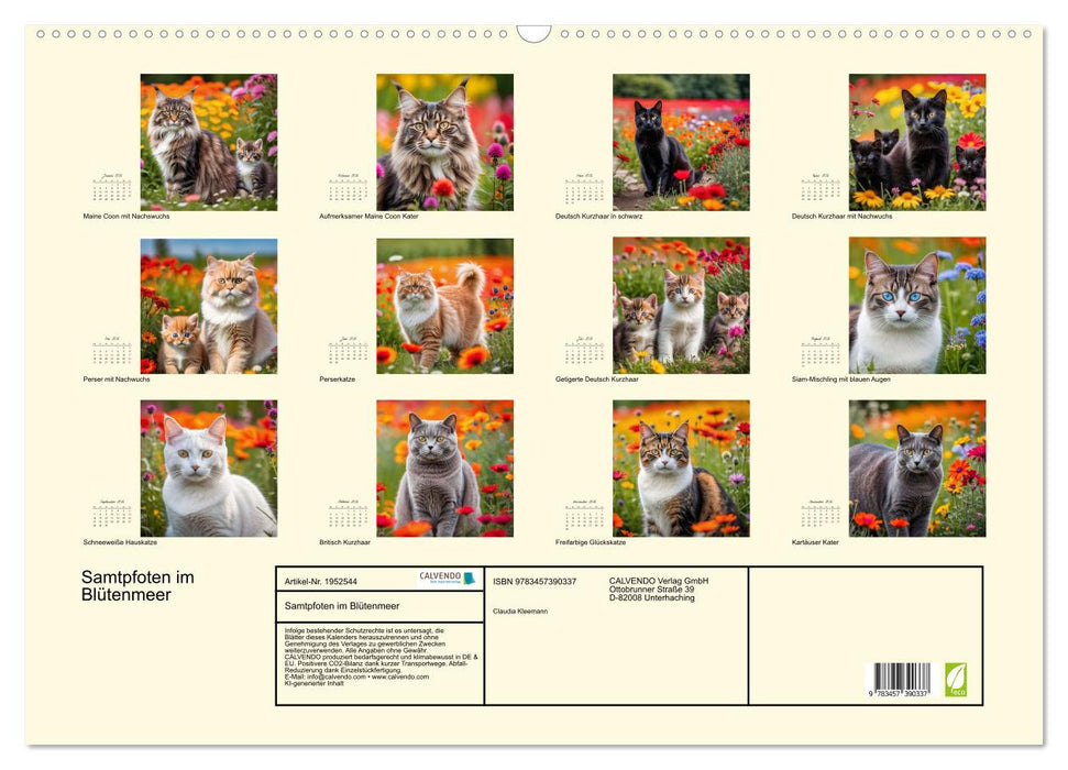 Samtpfoten im Blütenmeer (CALVENDO Wandkalender 2026)