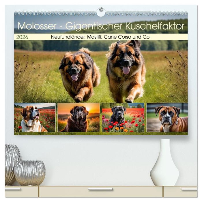 Molosser - Gigantischer Kuschelfaktor (CALVENDO Premium Wandkalender 2026)