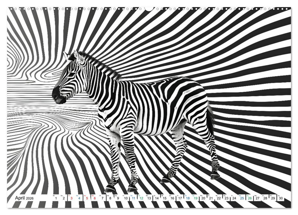 ZEBRAS - Modern Art (CALVENDO Wandkalender 2026)