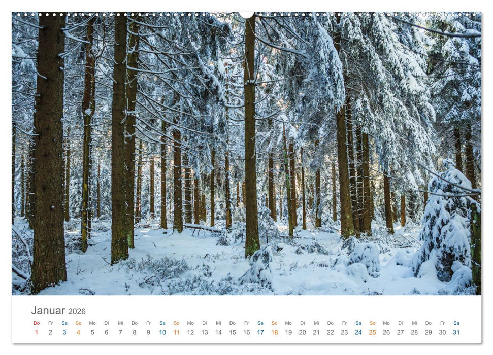 Oberhof - Urlaubsparadies am Rennsteig (CALVENDO Wandkalender 2026)