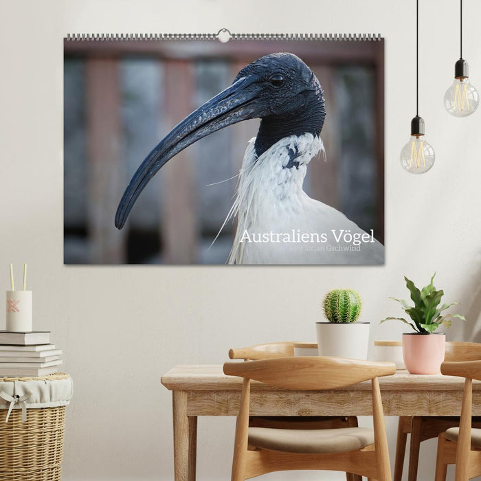 Australiens Vögel (CALVENDO Wandkalender 2026)