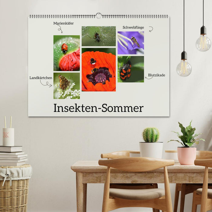 Insekten-Sommer (CALVENDO Wandkalender 2026)