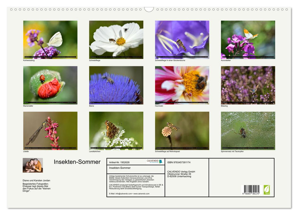 Insekten-Sommer (CALVENDO Wandkalender 2026)